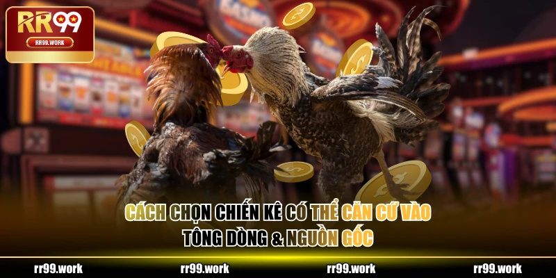 Cách chọn chiến kê có thể căn cứ vào tông dòng & nguồn gốc 