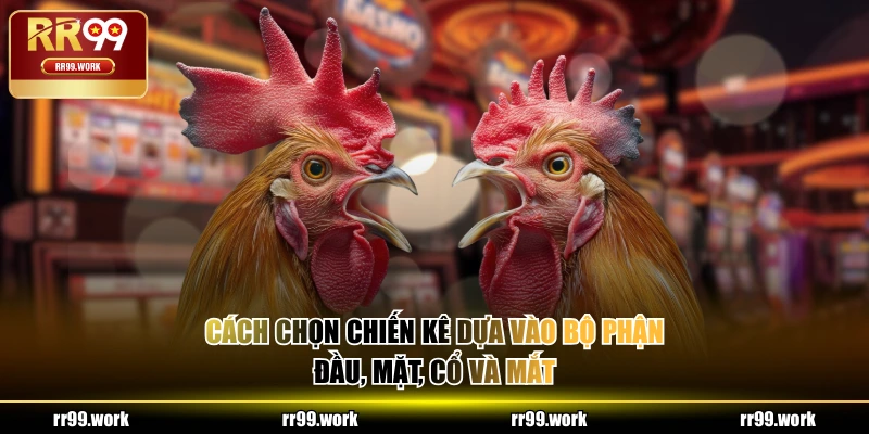 Cách chọn chiến kê dựa vào bộ phận đầu, mặt, cổ và mắt